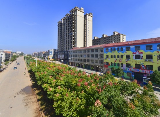 վǰ�������