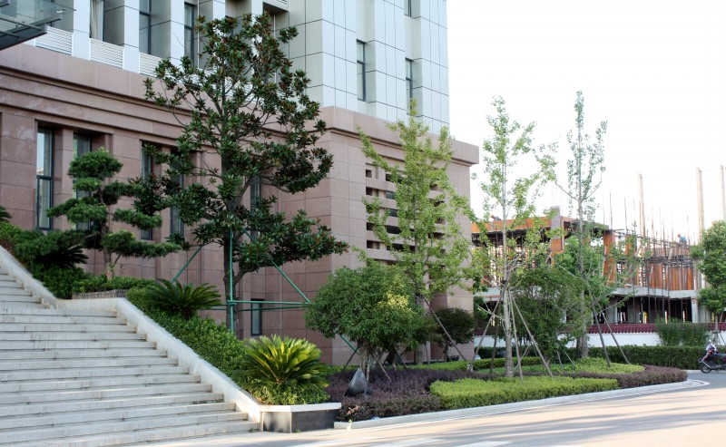 ��÷��ס����ͥԺ����